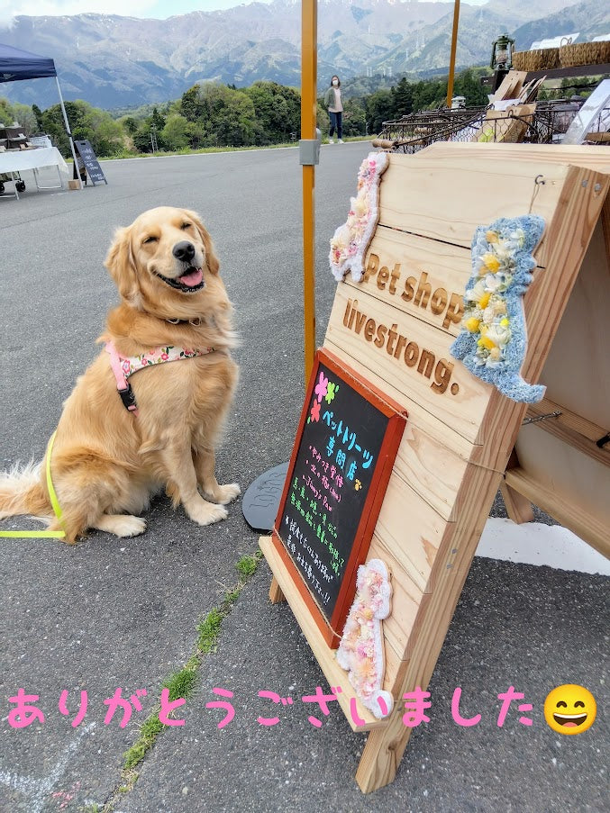 ご来場ありがとうございました🐶