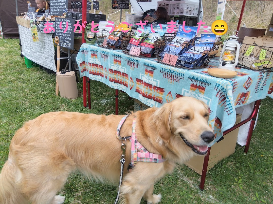 ご来場ありがとうございました🐕