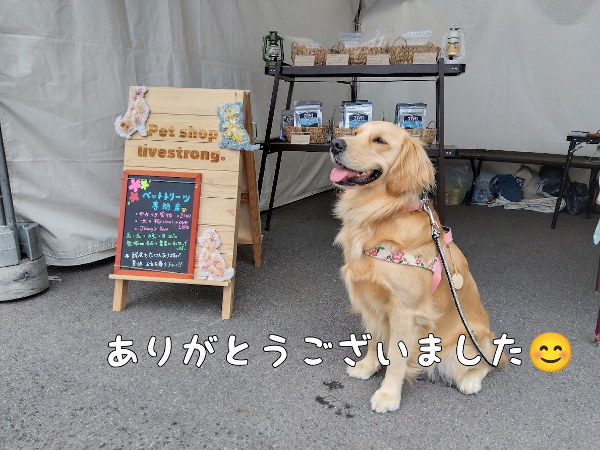 ご来店ありがとうございました！！