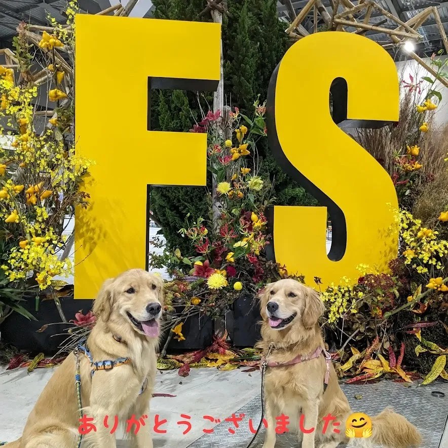 11/11 12日のフィールドスタイル にお越し頂きありがとうございました😊