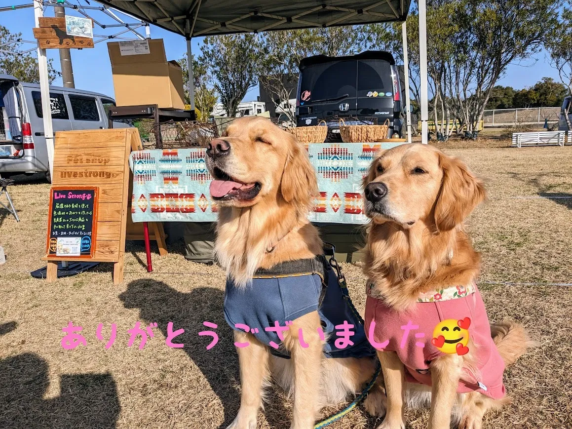 デカケルわんこびよりにお越し頂きありがとうございました🌝