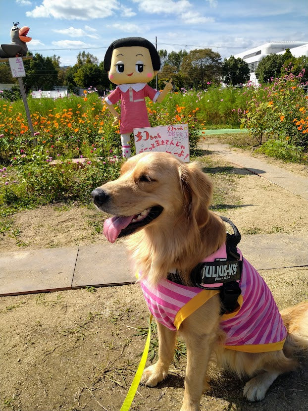 コスモス園へ