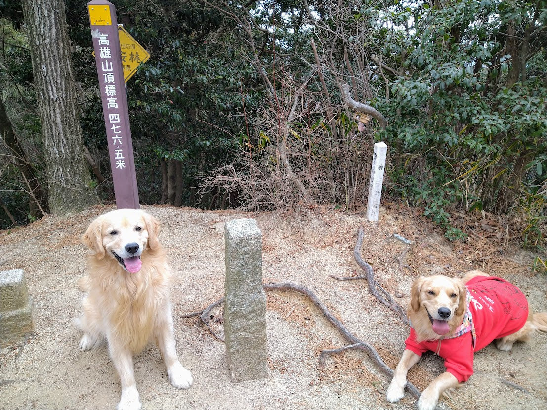 登り納め登山