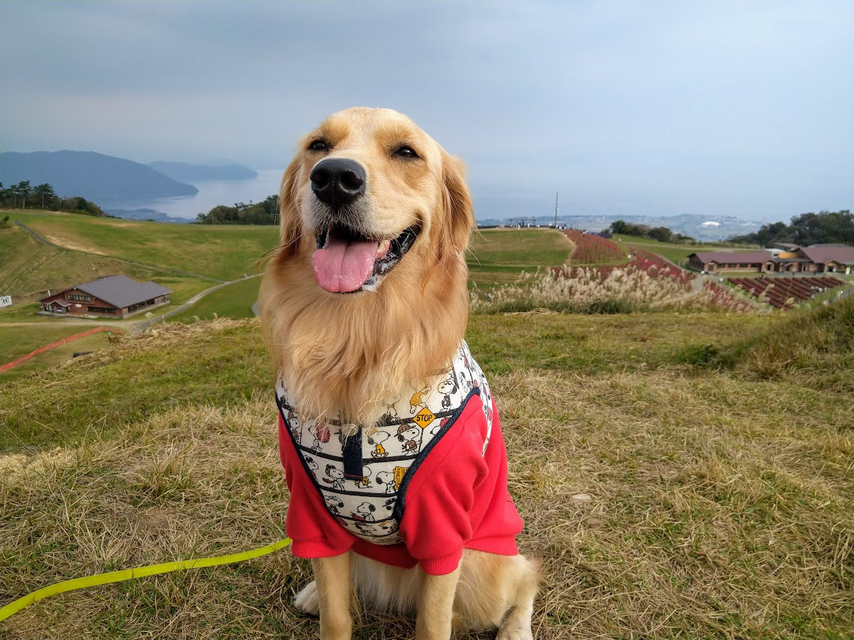 滋賀県湖西の箱館山へ